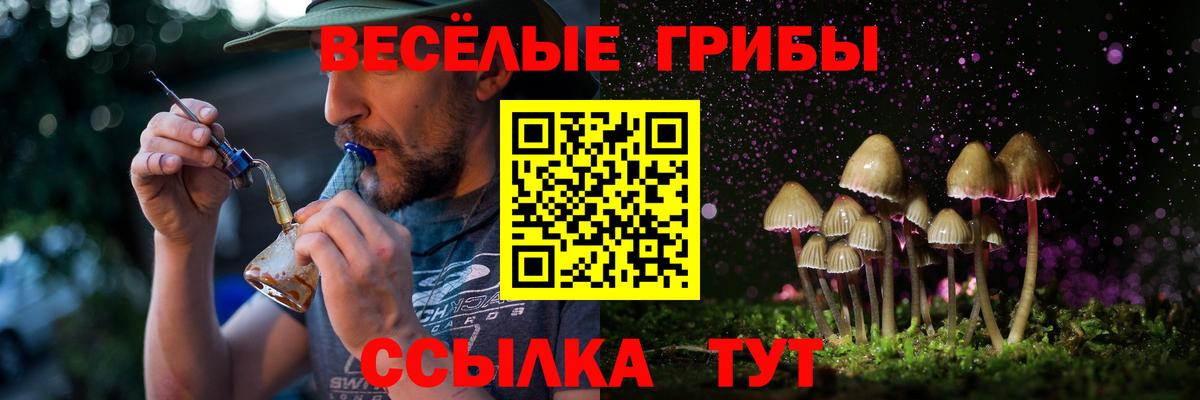Псилоцибиновые грибы прущие грибы Гусев