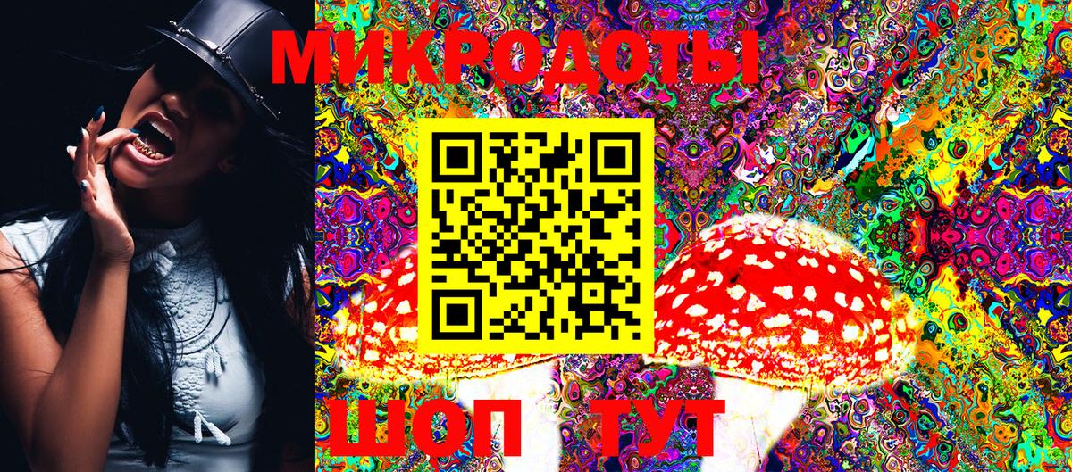 Гусев  Псилоцибиновые грибы Cubensis  сколько стоит  Вход с VPN 