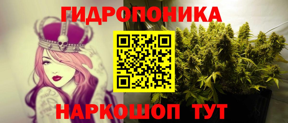 Канабис сатива Гусев